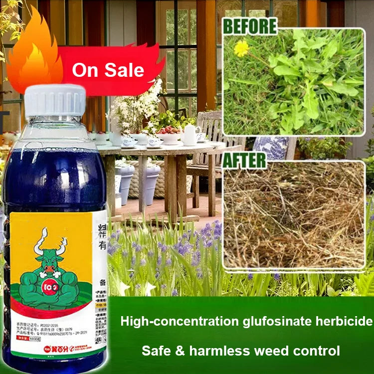 High Concentration Glufosinate Herbicide (Buy 1 Get 1 Free) all type grass