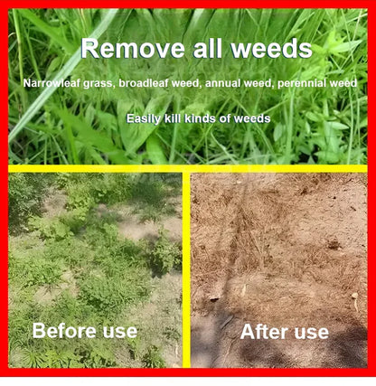 High Concentration Glufosinate Herbicide (Buy 1 Get 1 Free) all type grass