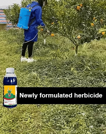 High Concentration Glufosinate Herbicide (Buy 1 Get 1 Free) all type grass