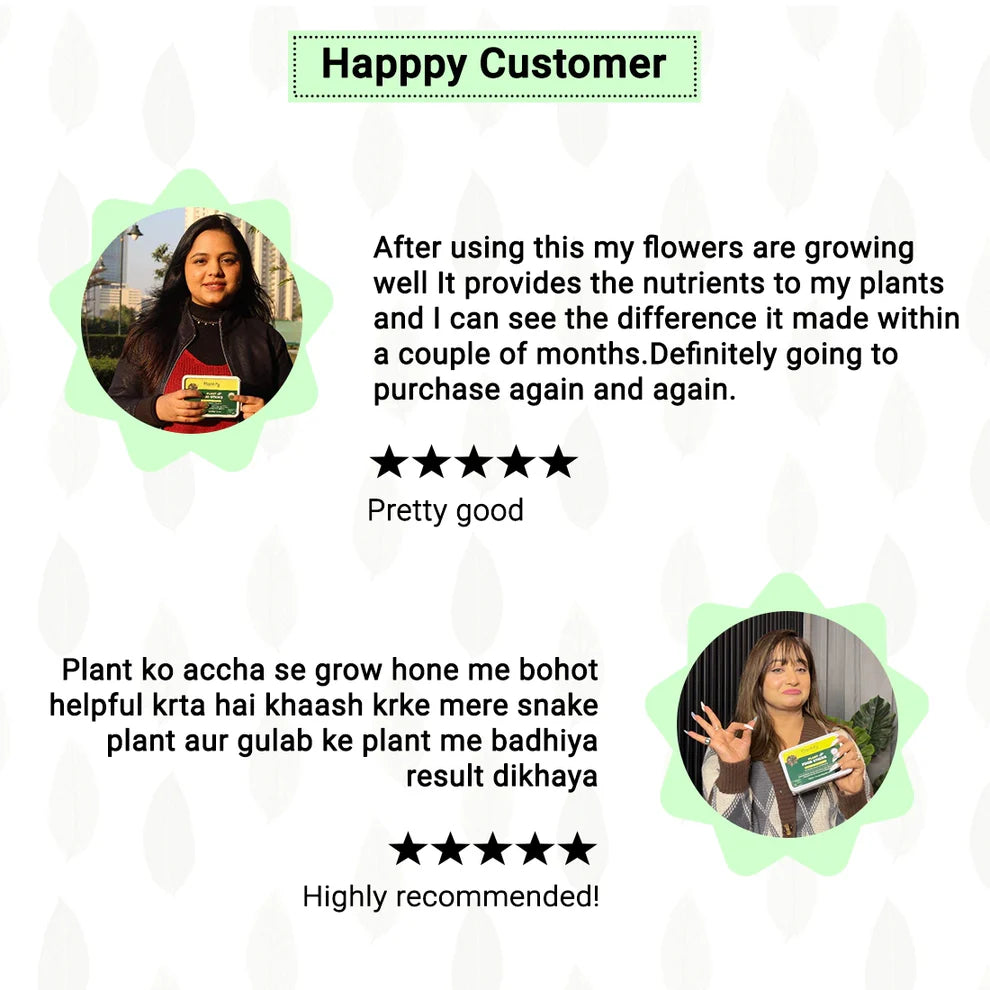 Premium Plant Support Sticks (50 Packs)