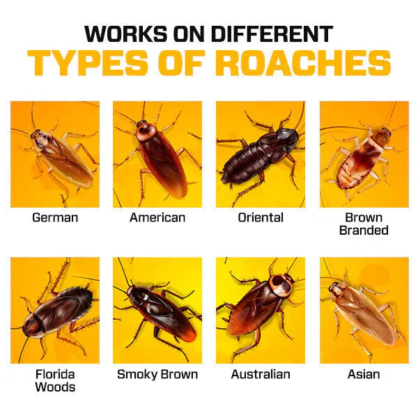 RoachShield Natural Gel – Safe & Powerful Cockroach Killer for Kitchens, Bathrooms & Cabinets