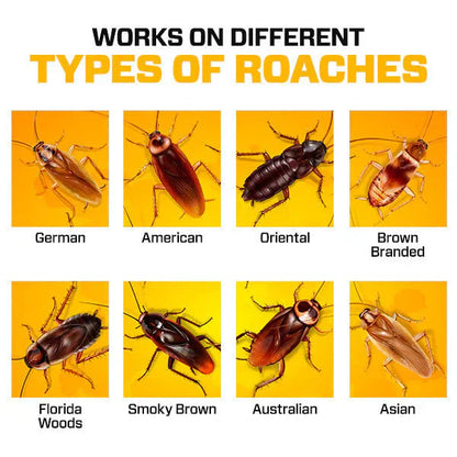 RoachShield Natural Gel – Safe & Powerful Cockroach Killer for Kitchens, Bathrooms & Cabinets