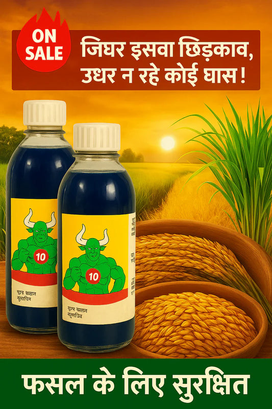 Cyclosinone Herbicide Granules 🔥 LIMITED TIME OFFER 🔥(PACK OF 2)