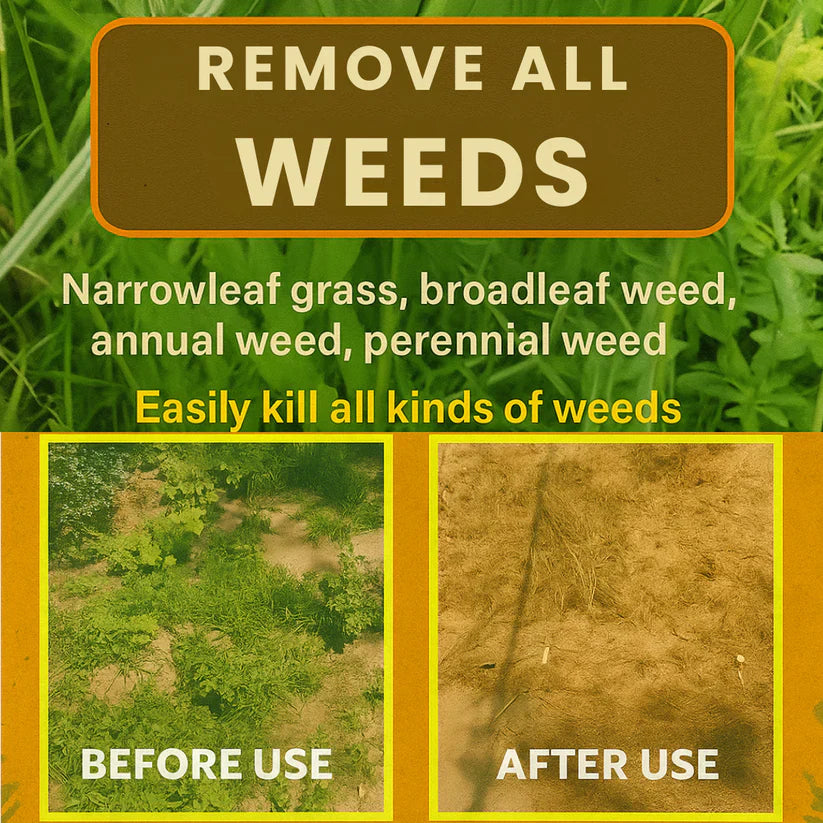 Cyclosinone Herbicide Granules 🔥 LIMITED TIME OFFER 🔥(PACK OF 2)